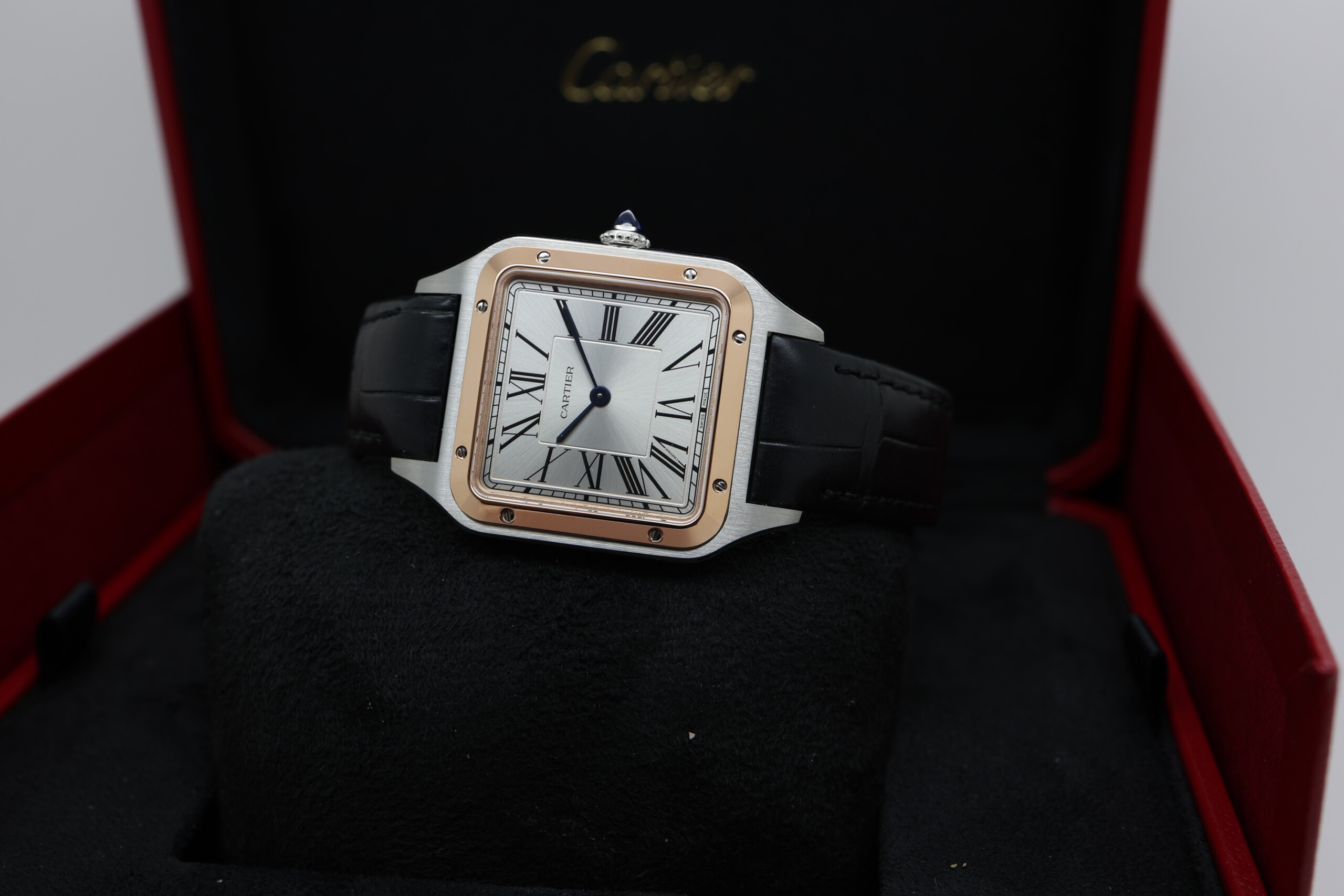 Cartier Dumont W2SA0037 2025 - Image 7